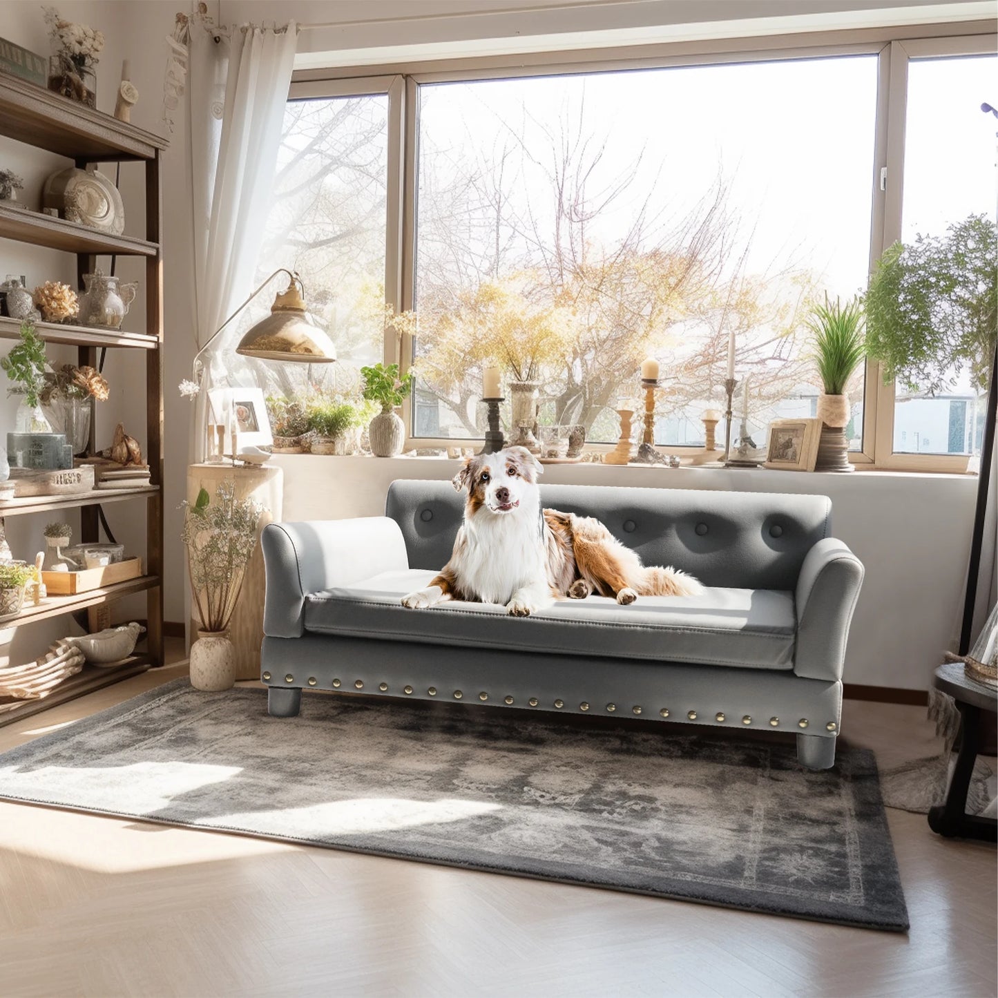 Large Pet Snuggle Lounge Chair with Removable Cushion