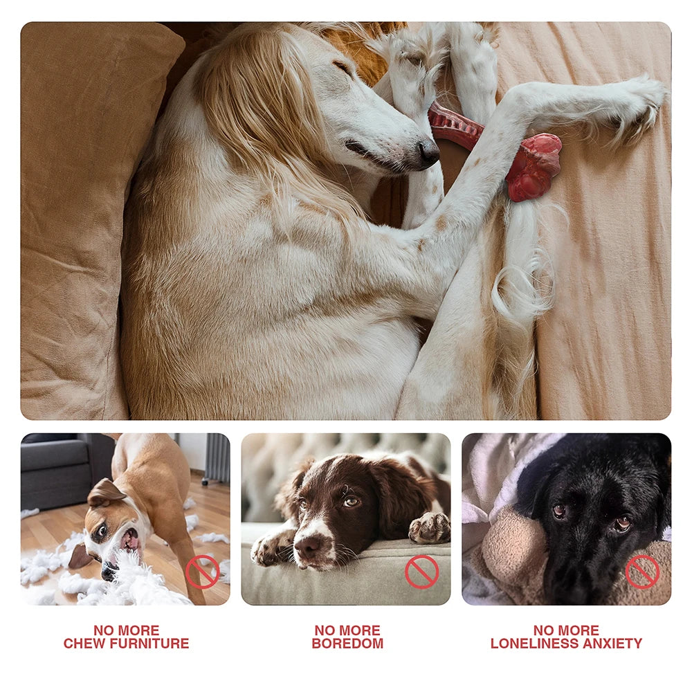 Large Bone-Shaped Indestructible Dog Toys