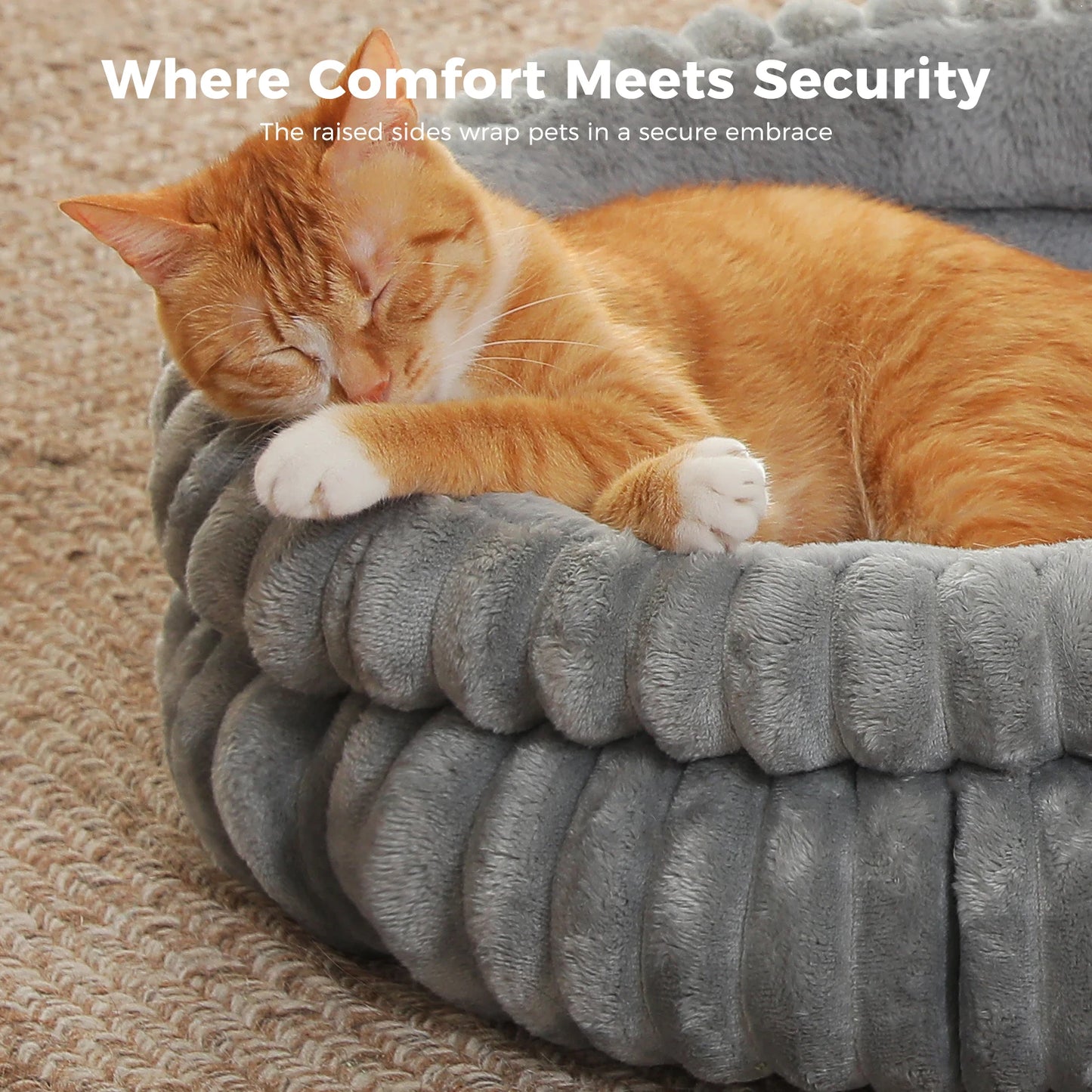 Cozy Cat Bed