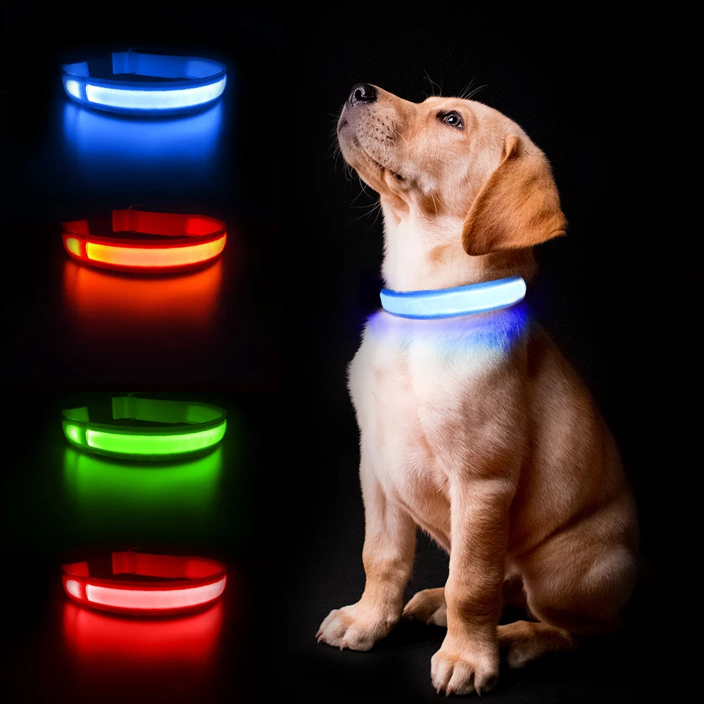 Dog Collar Luminous  Waterpoof Safety Collar