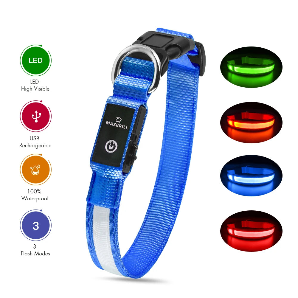 Dog Collar Luminous  Waterpoof Safety Collar
