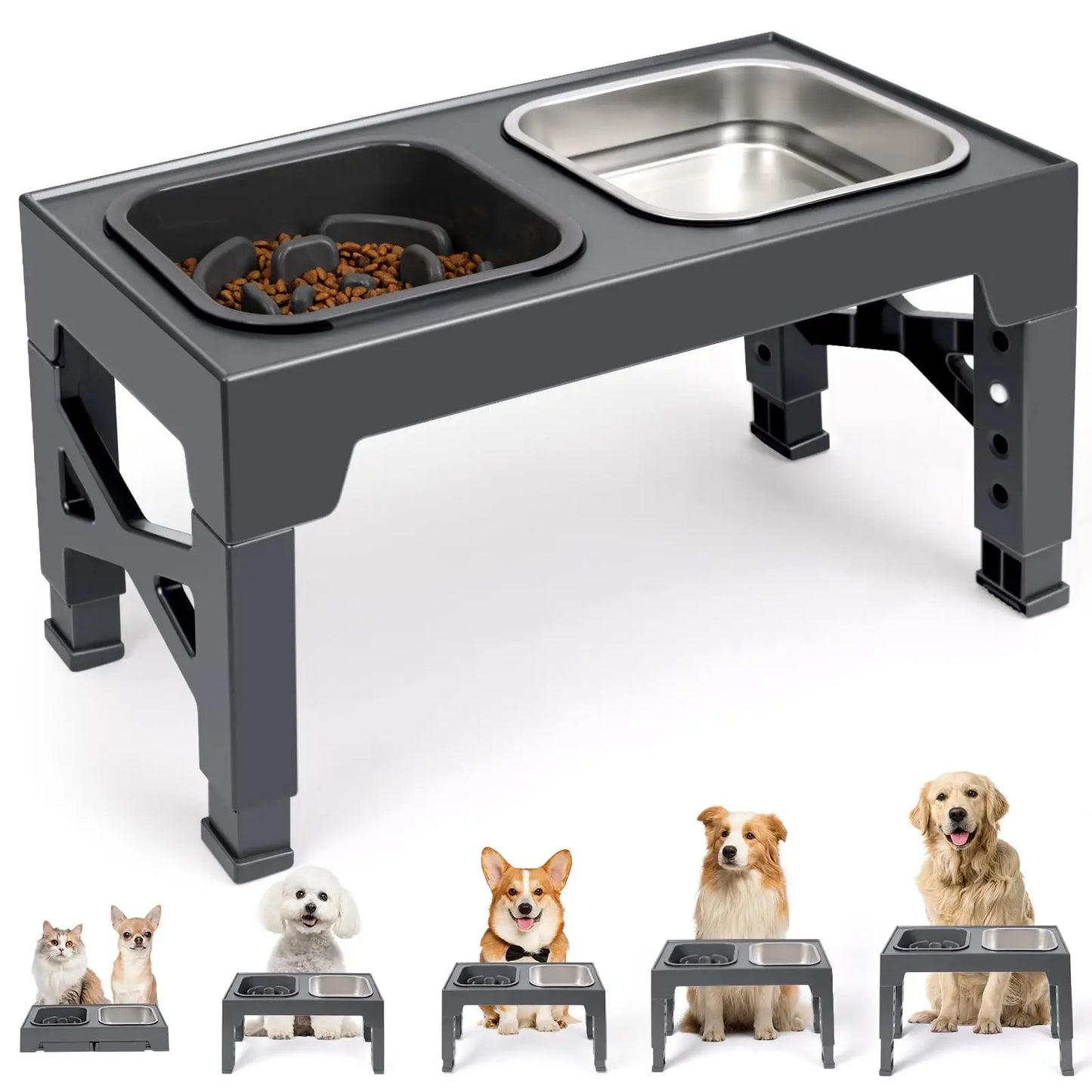 2-in-1 Elevated Slow Feeder Dog Bowls