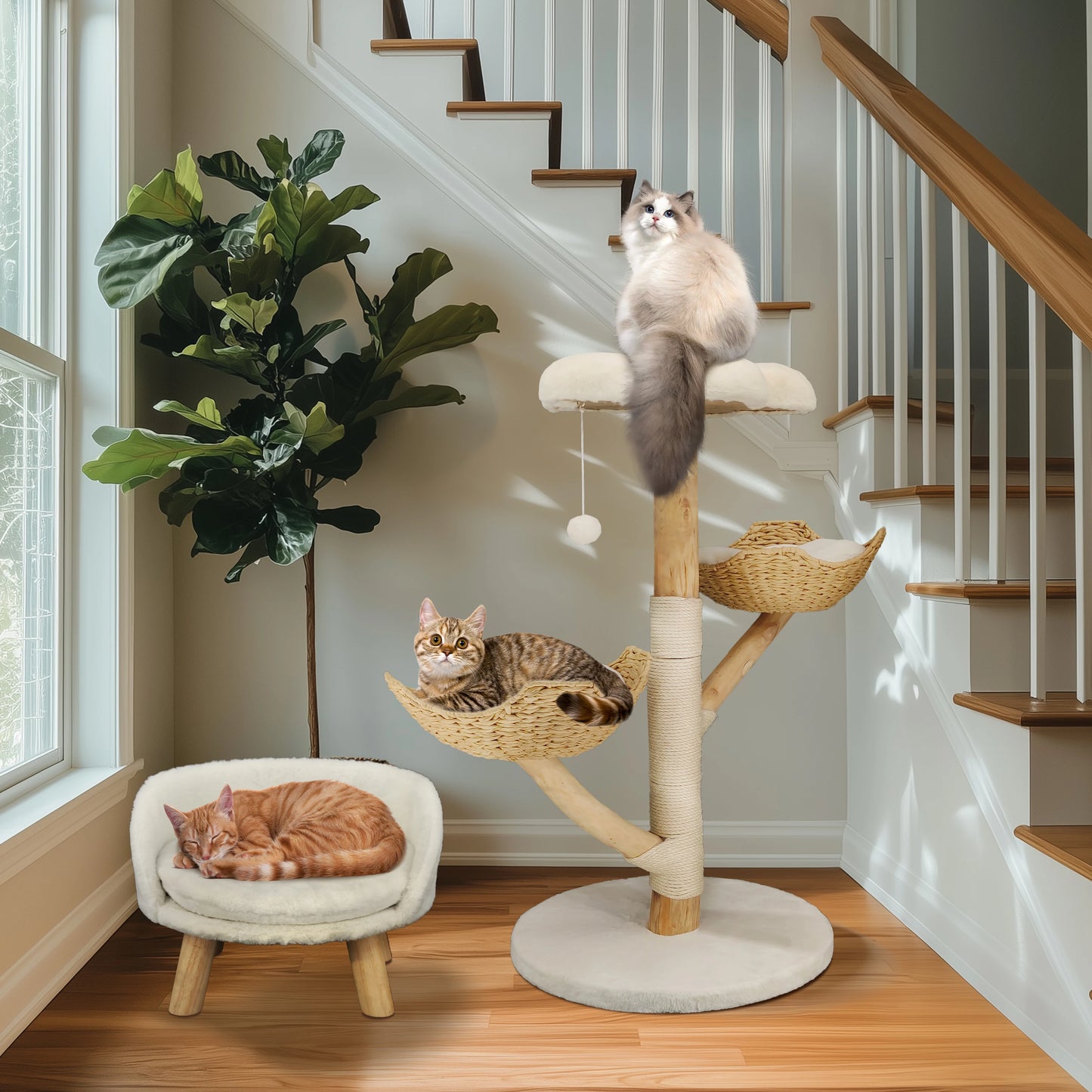 Cat Tree Tower Condo, Scratch Post for Play