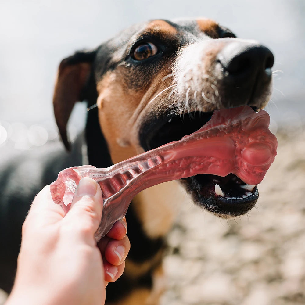Large Bone-Shaped Indestructible Dog Toys