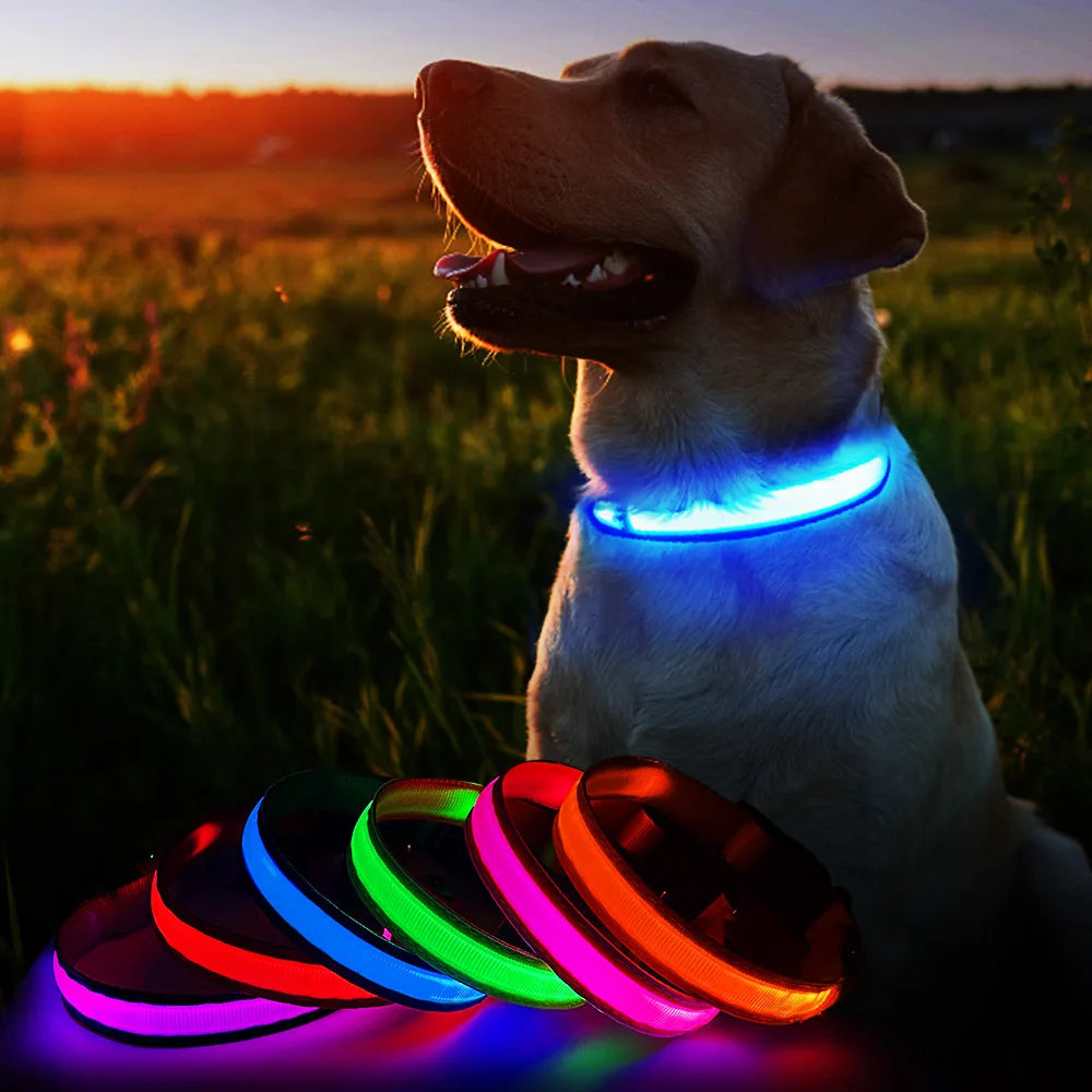 Dog Collar Luminous  Waterpoof Safety Collar